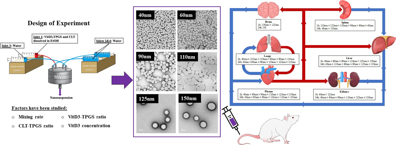 Figure 4_Shing Fung Chow2022