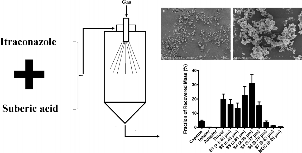 Inhalable itraconazole cocrystals