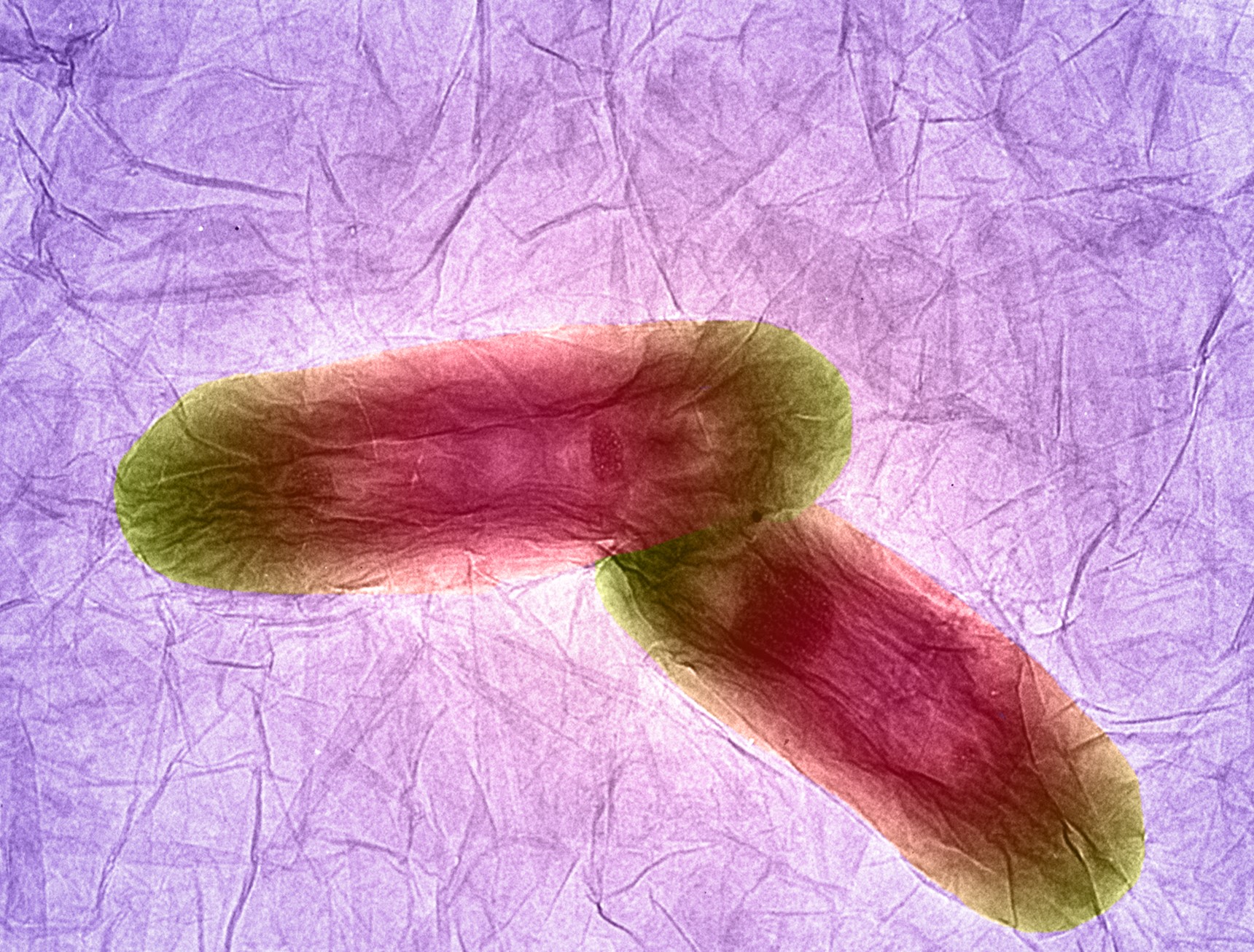 Early Disease Detection